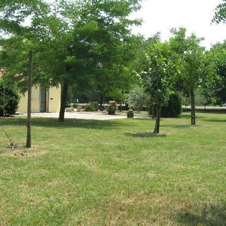 Bed and Breakfast Al Parco Ravenna Exterior foto